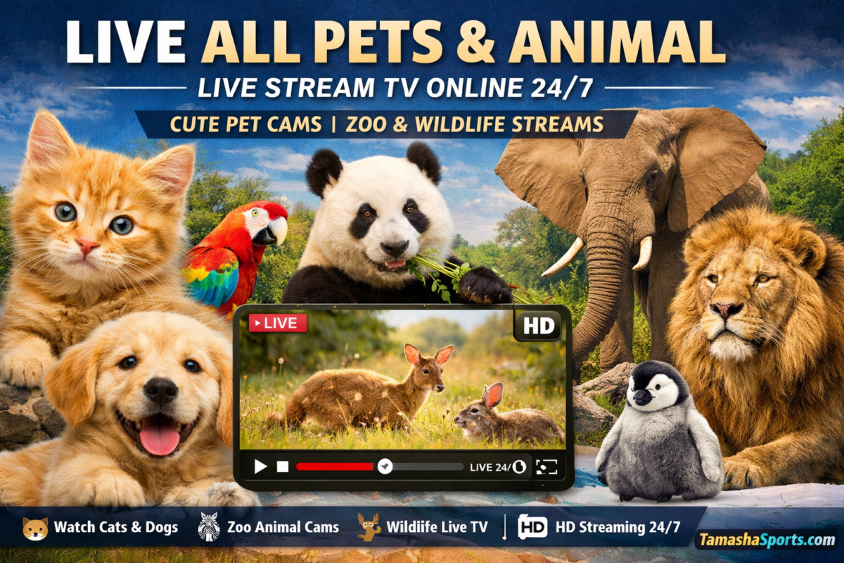 Live All PTEs Live Stream TV – Watch PTE Academic Updates & Preparation Online